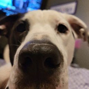 Meet your Posher, Ashlynn